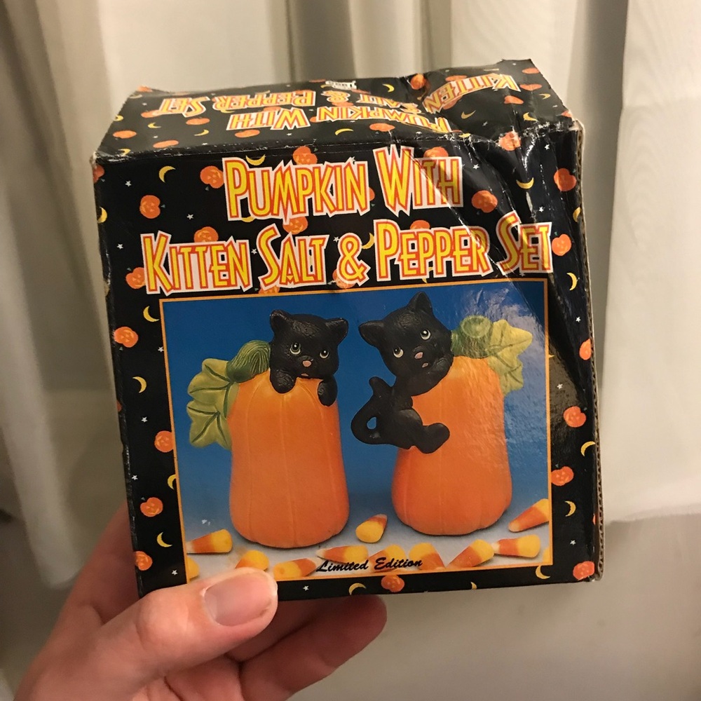 1995 Pumpkins and cats salt and pepper shakers (has been fixed on the one shaker